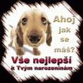 /album/prani-k-narozeninam/animovane-prani-k-narozeninam-16-gif/